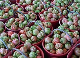 Baskets full of colorful lobed tomato-like fruits