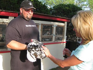 Two successful agritourism ideas