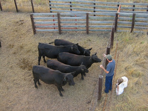 Connecting on commonalities: small business and ag