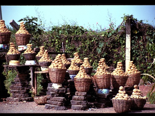 Baskets full of potatoes. 