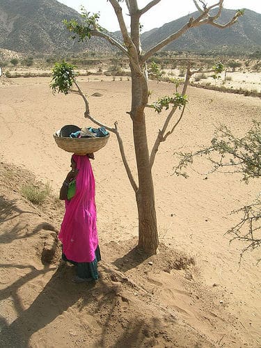 Brag Basket helps us build community