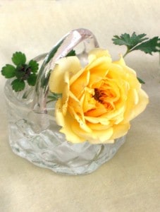 Glass Basket by dog.happy.art