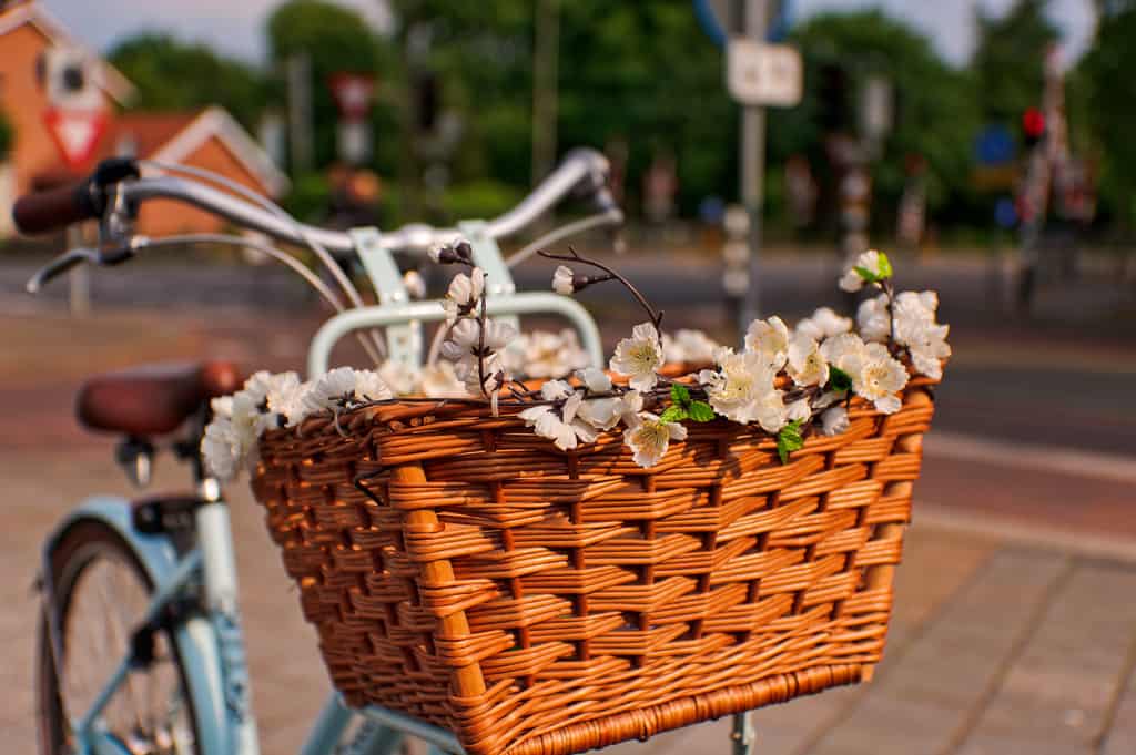 Let the Brag Basket carry your good news