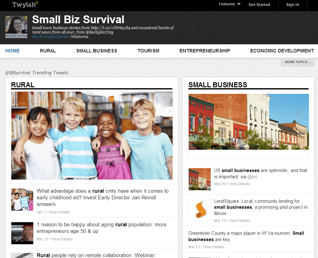 Screenshot of Small Biz Survival's page on Twylah