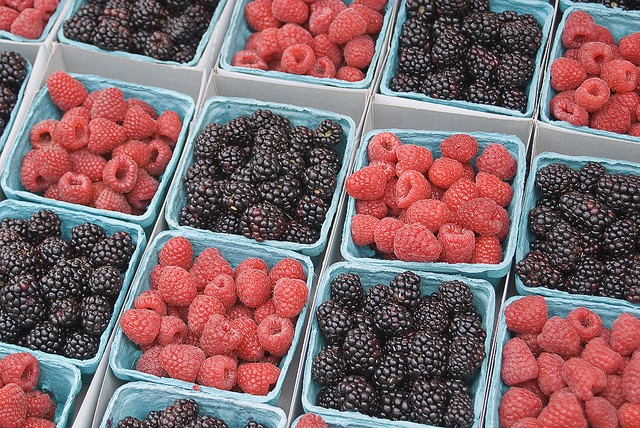 Photo by Damian Gadal on Flickr. 