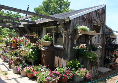 Finding Mona’s Market, a small town business picture-story