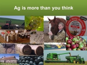 Photos of diverse agriculture operations, including tractors, grapes, horses, dairy, honey, apples, hay, wheat, blueberries and a cute baby calf.