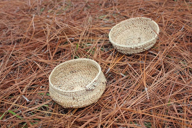 You don’t need much to make something good in the Brag Basket