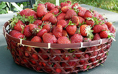 Juicy little bites of good news in the Brag Basket. Photo (CC) by Cristina on Flickr. 