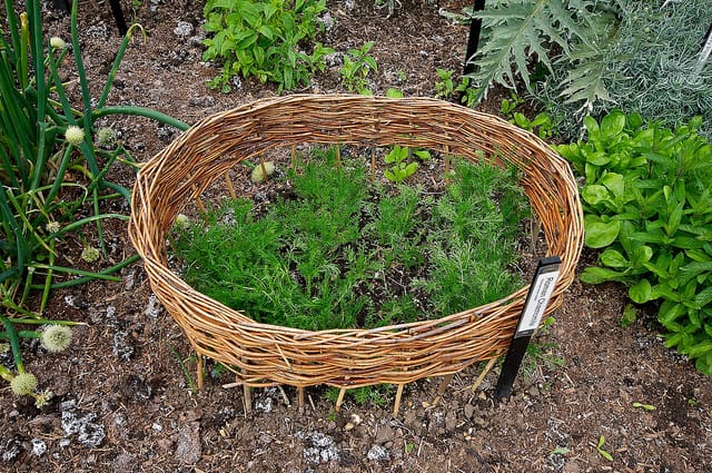 Let your good news grow inside the Brag Basket