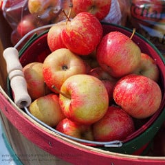 Basket apples CC by Renae Rude on Flickr