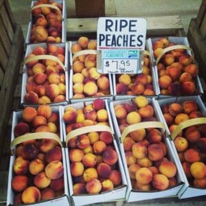 Baskets of peaches. Photo CC by Mike Mozart on Flickr.