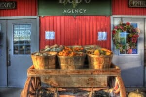 Baskets with pumpkins. Photo cc by Theodore C on Flickr