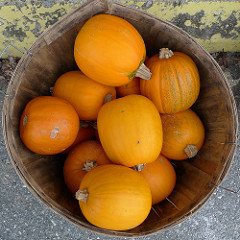 Basket of pumpkins. Photo by Lori L. Stalteri