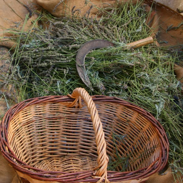 The Brag Basket works best when you actually put your good news into it