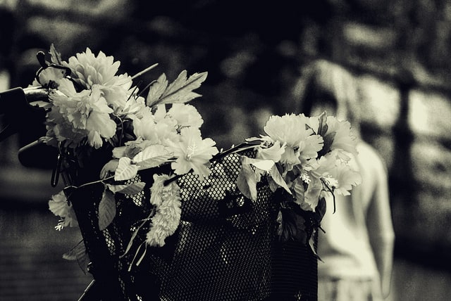 Basket with flowers. Photo CC by José Manuel Ríos Valiente