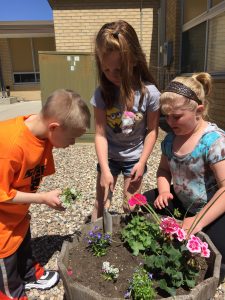 Kindergarten planters. Photo courtesy of Carmen Rath-Wald, North Dakota State University Extension Service