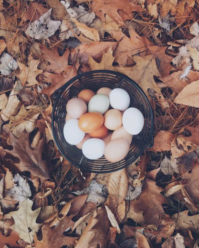 Put all your good eggs in one Brag Basket
