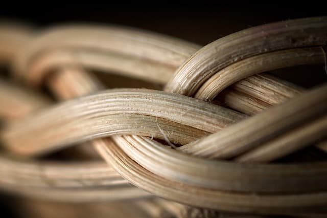 Get up close in the Brag Basket