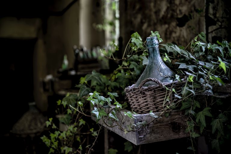 Basket-covered wine jug surrounded by vines