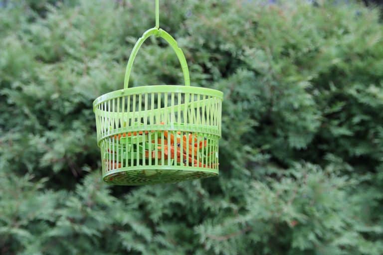 Pin your good news in the Brag Basket