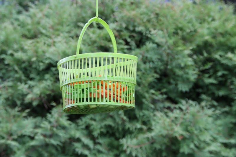 Basket of plastic clothespins