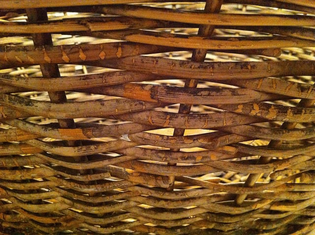 Your good news washes up in the Brag Basket