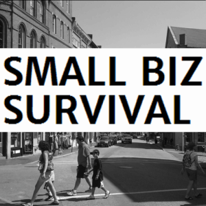 Small Biz Survival icon