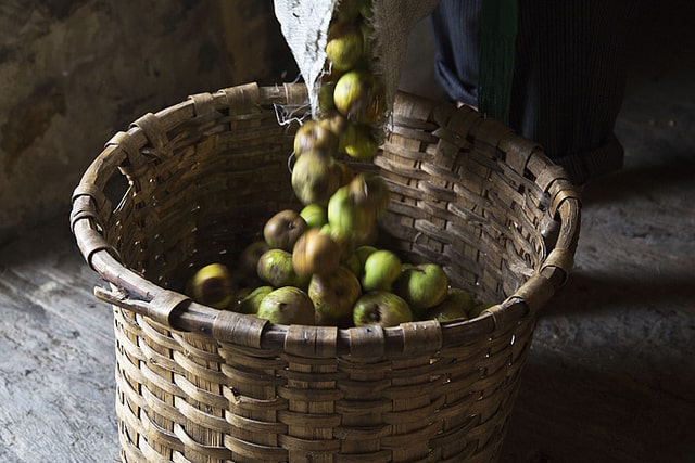 Pour the good news in the Brag Basket