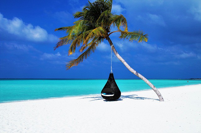 Basket chair hanging from a palm tree over an empty white sand beach