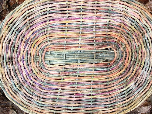 A kaleidoscope of good news colors the Brag Basket