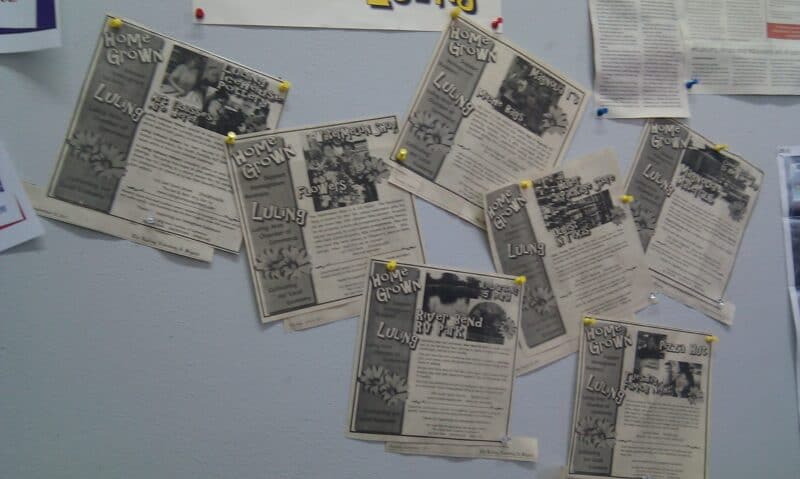 Profiles of local businesses featured in newspaper clippings